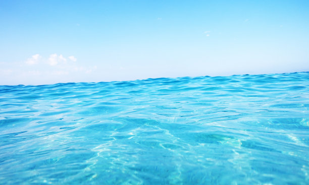 海废品图片下载