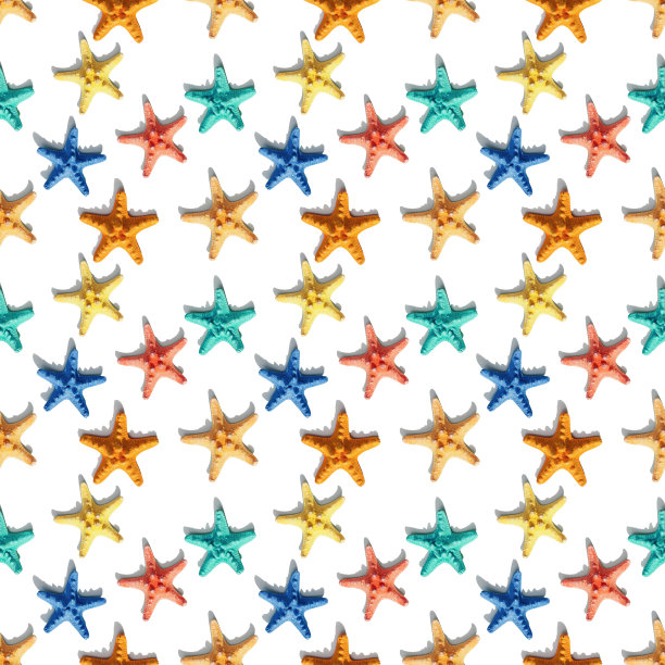 色彩斑斓的海星。快乐、明媚、夏日的心情平躺着。图片下载