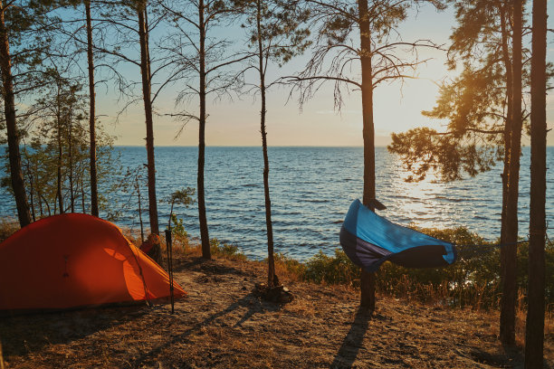 树林里有帐篷和蓝色吊床图片下载