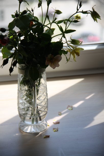 太阳照射花瓶里的花图片下载