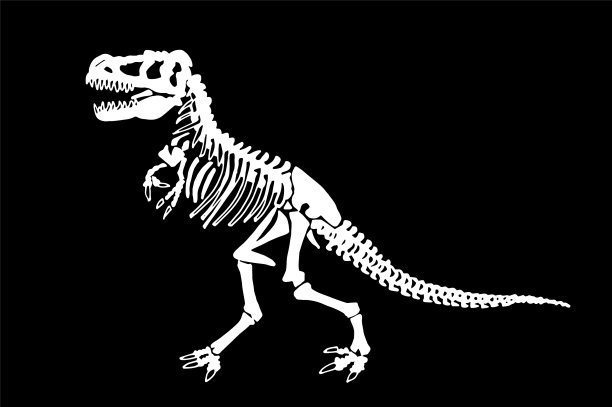 图形骨架霸王龙孤立图片下载