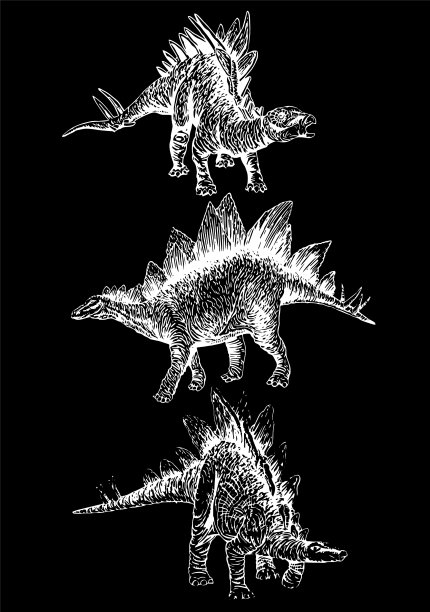 图形设置剑龙在黑色背景图片下载