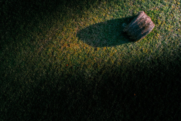 海贝尔阳光亮点图片下载