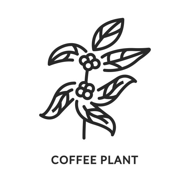 分支咖啡树的直线图标图片下载