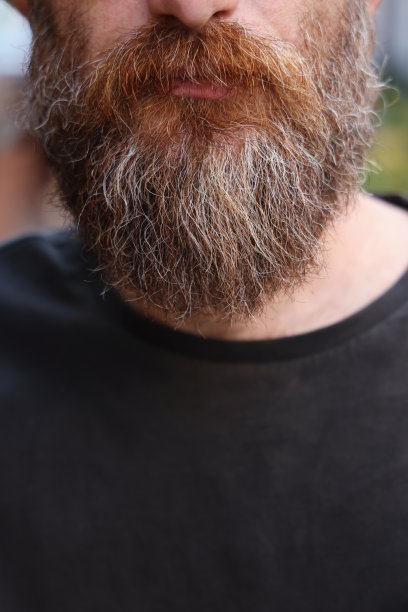 大胡子男人肖像图片下载