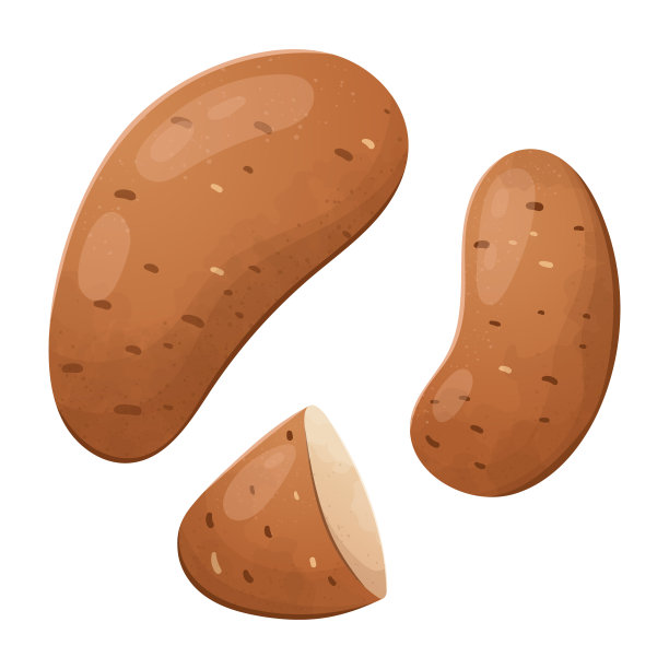 新鲜生土豆块茎和一半切块茎的现实插图向量集。一种健康的天然蔬菜或来自农场或菜园的根茎。图片下载