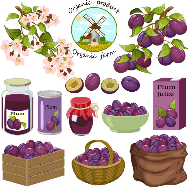 集李子和产品从他们图片下载