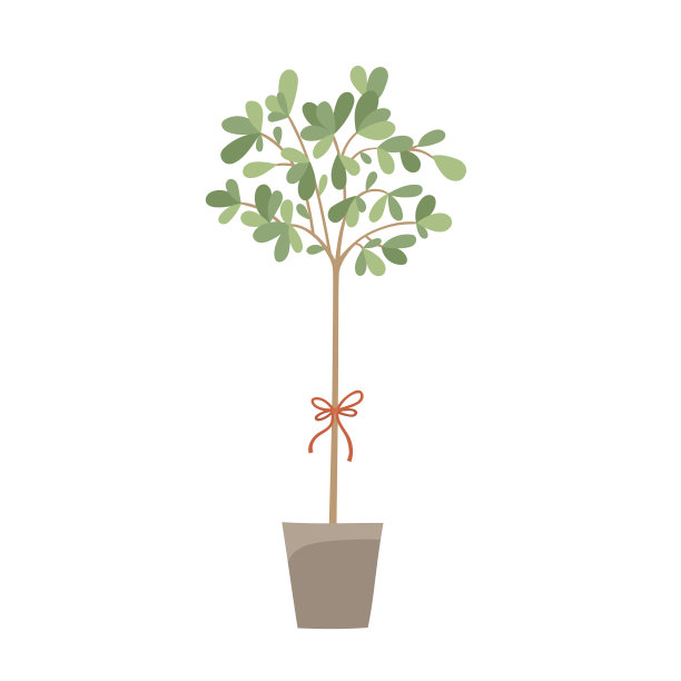 花和植物在盆中孤立的白色图片下载