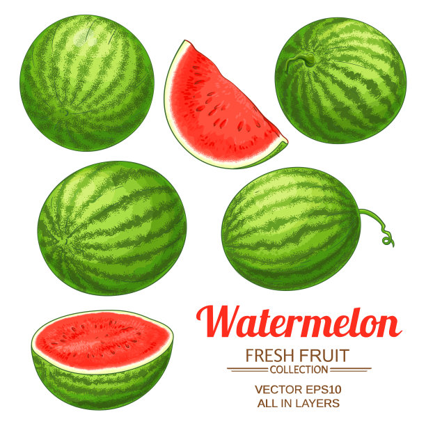 西瓜矢量设置在白色背景图片下载