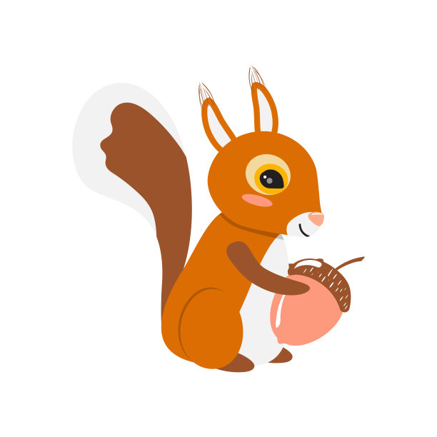松鼠和橡子。可爱的松鼠微笑。图片下载