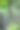 露珠在蜘蛛网(蜘蛛网)特写与绿色背景的壁纸。图片下载