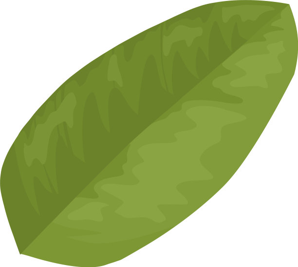 叶子石榴手绘和现实图片下载