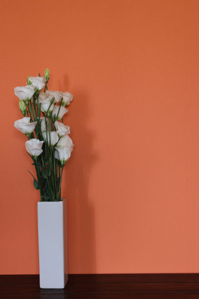 桔黄色的墙壁背景中有一束洋桔黄色的花。图片下载