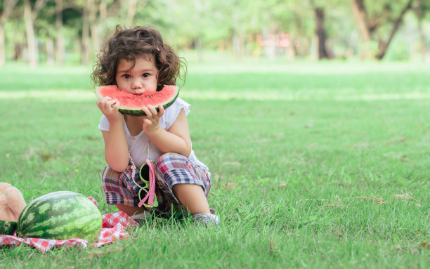 肖像小可爱可爱的白种卷发女孩独自坐在户外花园野餐，看着相机，玩着吃着块西瓜，快乐着复制空间。图片下载