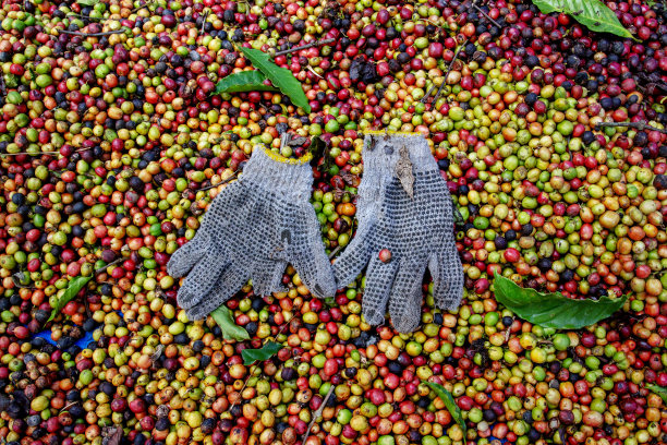 一副带咖啡的手套图片下载