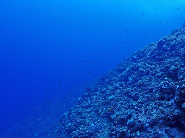 水肺潜水，珊瑚，冲绳喀拉马图片下载