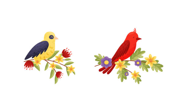 栖息在花枝或树枝上的鸟图片下载