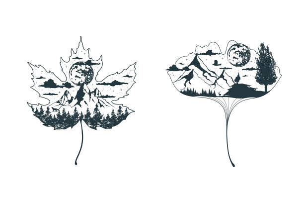 神秘的枫树和银杏叶集。天上的叶子，有山，有云，有月，有林。图片下载