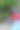 夏日景色点缀着五彩缤纷。图片下载
