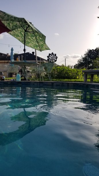 夏天后院图片下载