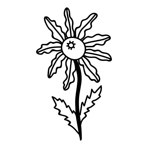 单手绘制洋甘菊。矢量插图涂鸦风格。孤立在白色背景上。图片下载