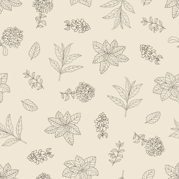 无缝模式与茶叶药材收集3-02图片下载