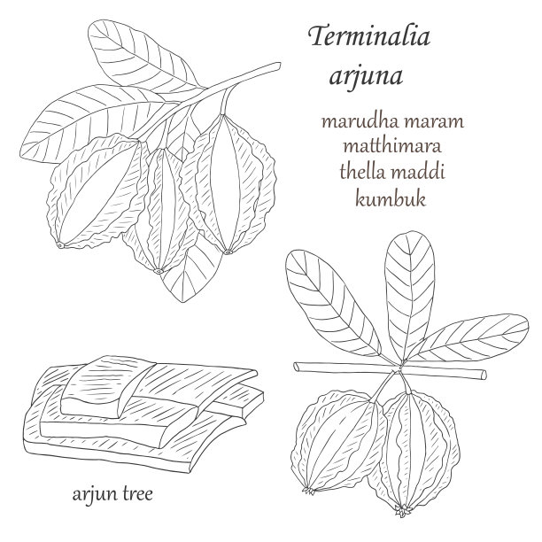 ardjuna和kasia-01图片下载
