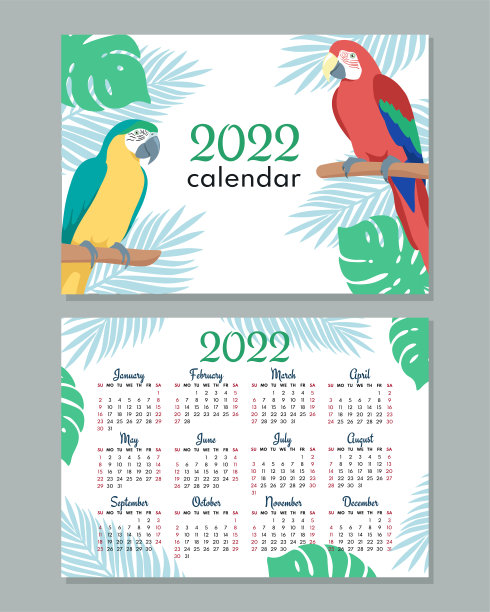 2022年日历模板。带鹦鹉的日历概念设计。一周从周日开始。图片下载