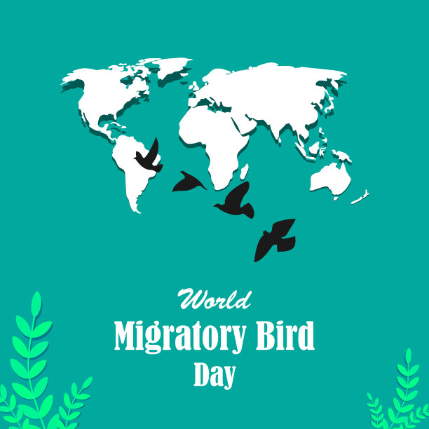 5月8日世界候鸟日图片下载