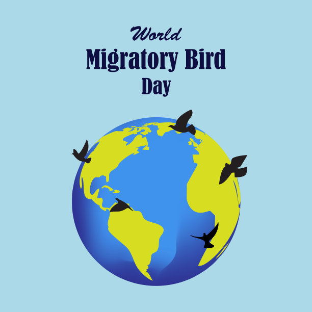 5月8日世界候鸟日图片下载