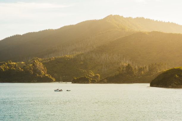 阳光下美丽的湖景。图片下载
