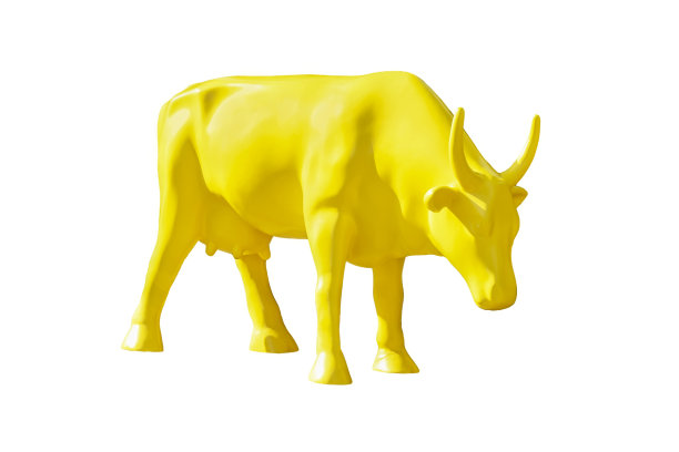 孤立背景上的黄牛图片下载