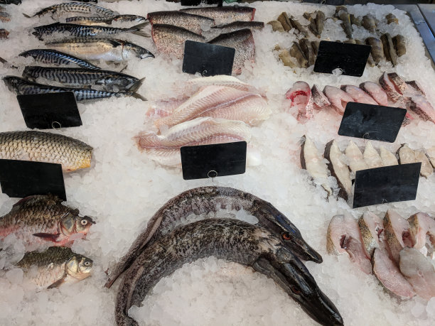 新鲜的鱼放在柜台上，放在冰上图片下载