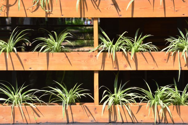 立面植物装饰图片下载