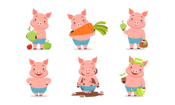 搞笑的猪吃胡萝卜溅泥图片下载