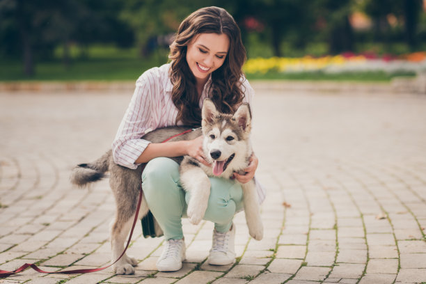 可爱的棕色头发女士的照片抱着最喜欢的可爱的小宠物狗穿条纹衬衫绿色裤子白色运动鞋在公园户外图片下载