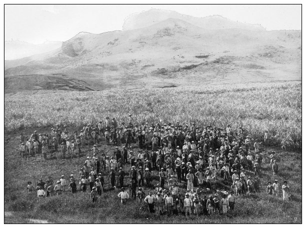 古色古香的黑白照片:夏威夷考艾岛，利休糖种植园的工人们图片下载