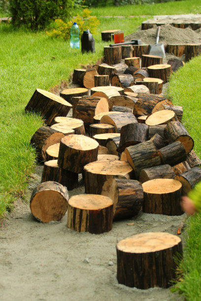 在公园里铺设的切片木路。天然木构步道。图片下载