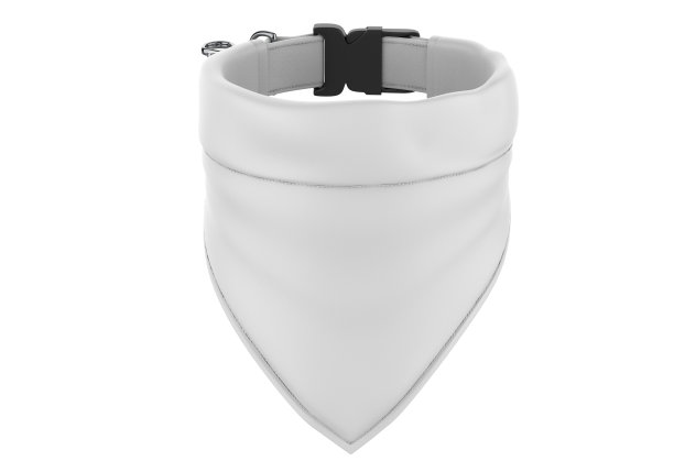 空白宠物头巾和项圈模型。图片下载