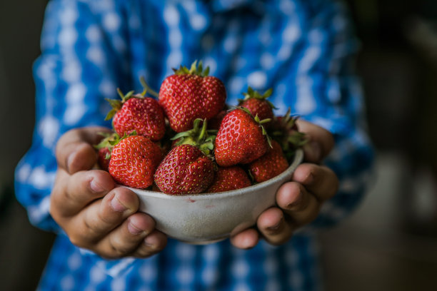 在阳光明媚的夏日，孩子们在果园里采摘草莓。孩子们手里拿着新鲜成熟的有机草莓图片下载