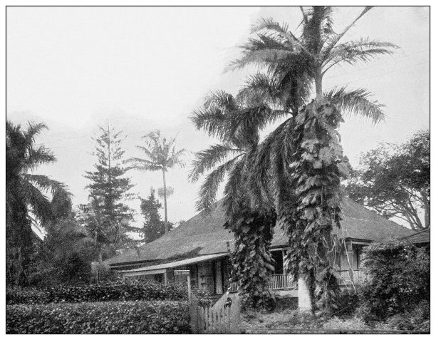 古董黑白照片:希洛，夏威夷图片下载