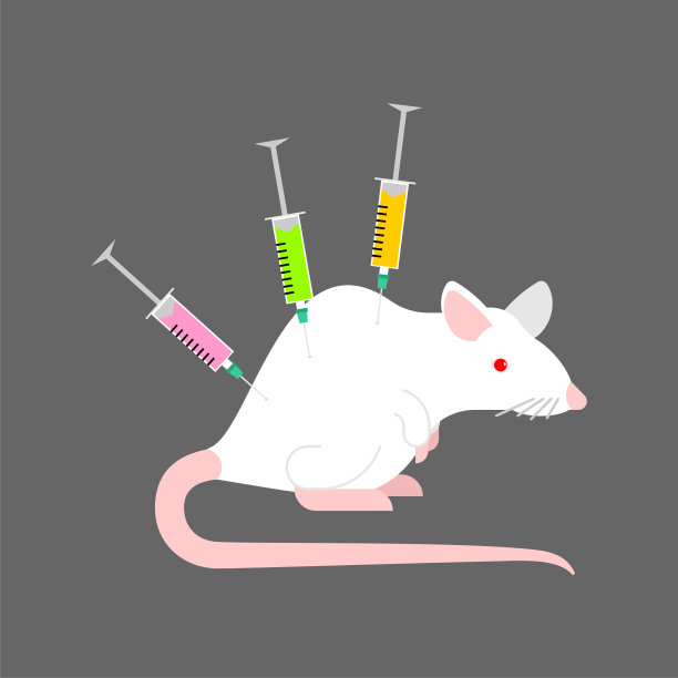实验用白鼠和注射器。实验室研究图片下载