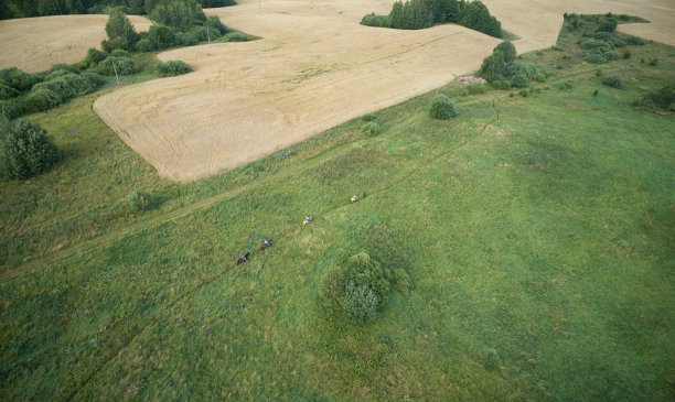 在野外骑马图片下载