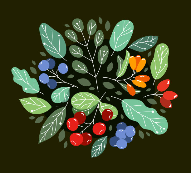 野生浆果新鲜和成熟美味的健康食品与叶向量平面风格插图在黑暗的背景，美味的植物饮食吃，大自然的礼物。图片下载