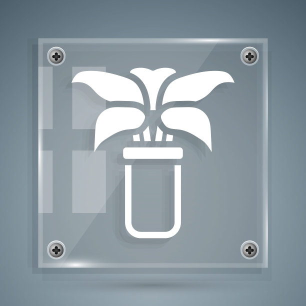 白色异国情调的热带植物盆栽图标孤立在灰色背景。方形玻璃面板。向量图片下载