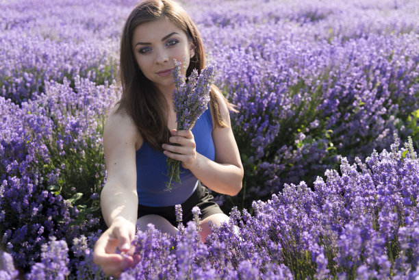 在薰衣草田里图片下载