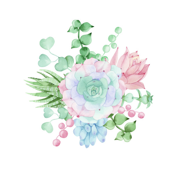 多肉植物的彩色水彩插花。手绘。完美的婚礼，框架，报价，模板，贺卡，标志，邀请函，字母，其他创意的想法。图片下载