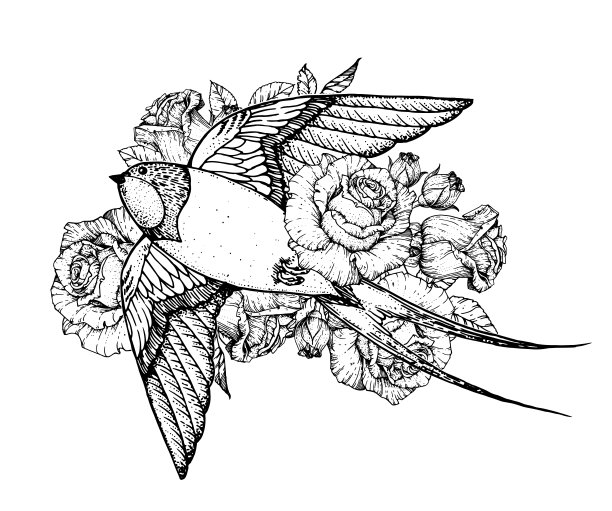 飞燕和玫瑰。手绘向量。t恤的设计。示意图说明。纹身风格。图片下载