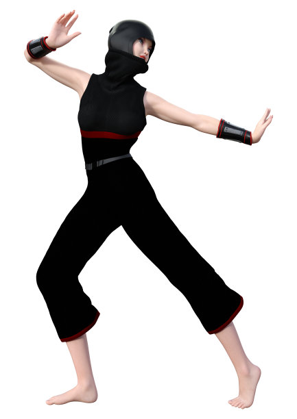 3D插图女忍者在白色图片下载