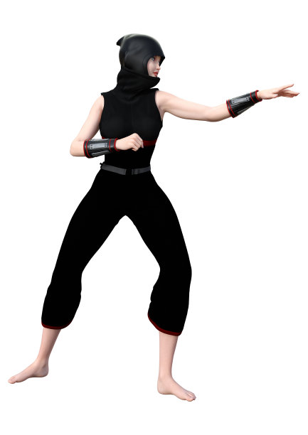 3D插图女忍者在白色图片下载